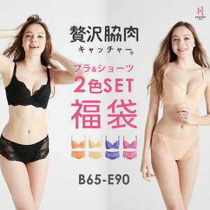 【送料無料】ブラ&ショーツ2色SET【正規品】贅沢脇肉キャッチャー HappyBag 流れる脇肉をバストへ|育乳ブラ 脇肉キャッチャー ブラジャー 補正下着 ショーツ レディース 下着 セット バストアップ いくにゅうぶら ブラ 脇肉 胸 垂れ 脇高 はみ肉 上下 背中 ランジェリー 女性