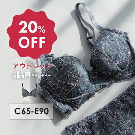 【アウトレット20%OFF】元祖脇肉キャッチャー アウトレット 背中すっきり | ブラジャー バストアップ ブラ 脇肉 下着 胸 垂れ 大きいサイズ 脇高 背中 脇高ブラ 脇肉キャッチャー 小胸 寄せる 盛れる バスト 補正 はみ肉 寄せ上げ スッキリ ハミ肉 脇肉補正ブラ レース 寄せ