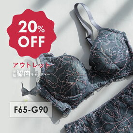 【アウトレット20%OFF】 元祖脇肉キャッチャー 背中すっきり | ブラジャー バストアップ ブラ 脇肉 下着 胸 垂れ 大きいサイズ 脇高 脇肉キャッチャー 補正ブラジャー 矯正 矯正下着 盛れる 寄せる グラマー はみ肉 寄せ上げ 脇高ブラ スッキリ 脇肉補正ブラ レース 寄せ