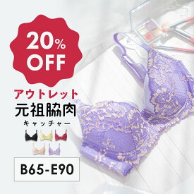 【アウトレット20%OFF】元祖脇肉キャッチャー アウトレット 背中すっきり| 育乳ブラ 補正下着 ブラジャー バストアップ ブラ 育乳 脇肉 下着 胸 垂れ 寄せ 上げ 大きいサイズ 脇高 40代 補正ブラ 背中 肉 脇高ブラ 下垂 30代 脇肉キャッチャー 補整 女性下着 大きいブラ 背肉