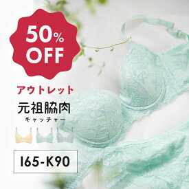 【アウトレット50%OFF】元祖脇肉キャッチャー アウトレット 背中すっきり|育乳ブラ ブラジャー バストアップ ブラ 育乳 補正ブラジャー 下着 胸 垂れ 大きいサイズ 脇高 背中 脇高ブラ 下垂 脇肉キャッチャー 背肉 育乳ブラジャー iカップ 脇肉ブラ 補正ブラ 補整ブラ 育ブラ