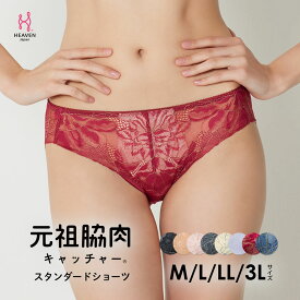 元祖脇肉キャッチャー お揃い ショーツ スタンダードショーツ ピンク M L LLサイズ | パンツ レース 3l 下着 レースショーツ パンティ レディース ひびきにくい 大きいサイズ 女性 単品 スタンダード ライン防止 セクシー バックレース レギュラー ショーツ単品 レース下着