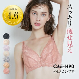 【返品交換0円】フルカップ どんとこいブラ フルカップブラ 脇高 脇肉 | ブラジャー 脇高ブラ ブラ 補正ブラ 育乳 大きい レディース 補正下着 スッキリ 谷間 盛れる レース 補整 寄せる バストアップ 脇肉ブラ 補正ブラジャー フルカップ レースブラ 安定感 補正 育乳ブラ