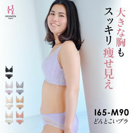 【返品交換0円】フルカップ どんとこいブラ ブラショーツSET Jカップ Kカップ フルカップブラ 脇高 脇肉 | ブラジャー ショーツ セット 上下セット 下着 補正ブラ レディース 補正下着 ブラショーツ ブラセット パンツ ブラジャーショーツ パンティー 補整 レディース下着
