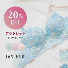 【アウトレット20％OFF】ビスチェリーナ | Fカップ Gカップ Hカップ 脇高 脇肉 育乳ブラ ブラジャー 垂れ 胸 大きいサイズ 脇高ブラ ブラ 脇肉ブラ レディース レースブラ 補正 寄せる 育乳 盛れるブラ 盛れる すっきり 脇高ブラジャー バストアップ バスト 背中 補正ブラ