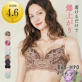 【返品交換0円】ビスチェリーナ | すっきり 脇高 揺れない 脇肉 育乳ブラ ブラジャー 補正下着 バストアップブラ 背肉 小さい 脇高ブラ ブラ 下着 小胸 寄せ 上げ ランジェリー 可愛い