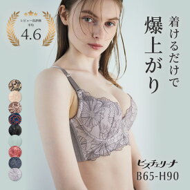【返品交換0円】ビスチェリーナ | すっきり 脇高 揺れない 脇肉 育乳ブラ ブラジャー 補正下着 バストアップブラ 小さい 脇高ブラ ブラ 下着 小胸 寄せ 上げ ランジェリー 可愛い 補正 ハミ肉 背中 肉 補正ブラ スタイルアップ バストアップ 単品 脇高補正 寄せブラ