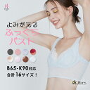 【返品交換0円】夜寄るブラ | ナイトブラ ブラジャー 脇肉 ノンワイヤー パッドなし ブラ 夜ブラ 育乳ブラ 下着 ワイヤーレス ワイヤーなし ナイトブラジャー 夜用ブラ ノンワイヤーブラ 育乳 盛りブラ 夜用ブラジャー 補正下着 脇高 おしゃれ 楽 楽ちん 寝るとき 補整下着