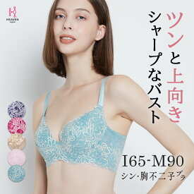 【返品交換0円】シン・胸不二子ブラ | ブラジャー 補正下着 バストアップ 脇肉 脇高 脇高ブラ ブラ 育乳 大きいサイズ 補正ブラ 垂れ バスト レース レースブラ 上げ 盛れる 盛りブラ スッキリ 寄せ おしゃれ 大きい 大きめ はみ肉 グラマー 補整下着 谷間 寄せる 矯正ブラ