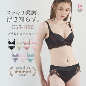 【返品交換0円】シン・胸不二子ブラ | ブラジャー ショーツ 下着 ブラショーツ ブラ セット 上下セット レディース 補正ブラ 上下 脇高 ブラジャーショーツ 脇高ブラ ブラショーツセット 育乳 はみ肉 脇肉 ハミ肉防止 3段ホック しっかり 支える 盛れる ブラセット 美胸 贅肉