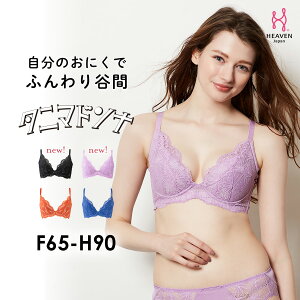 【送料無料】【返品交換0円】 タニマドンナ ブラ FGHカップ|育乳ブラ 大きいサイズ 補正下着 ブラジャー 下着 バストアップブラ レディース 脇肉 バストアップ いくにゅうぶら 胸 垂れ 補正 寄せ 上げ かわいい すっきり セクシー 脇高ブラ 背肉 谷間 可愛い 単品 黒 レース