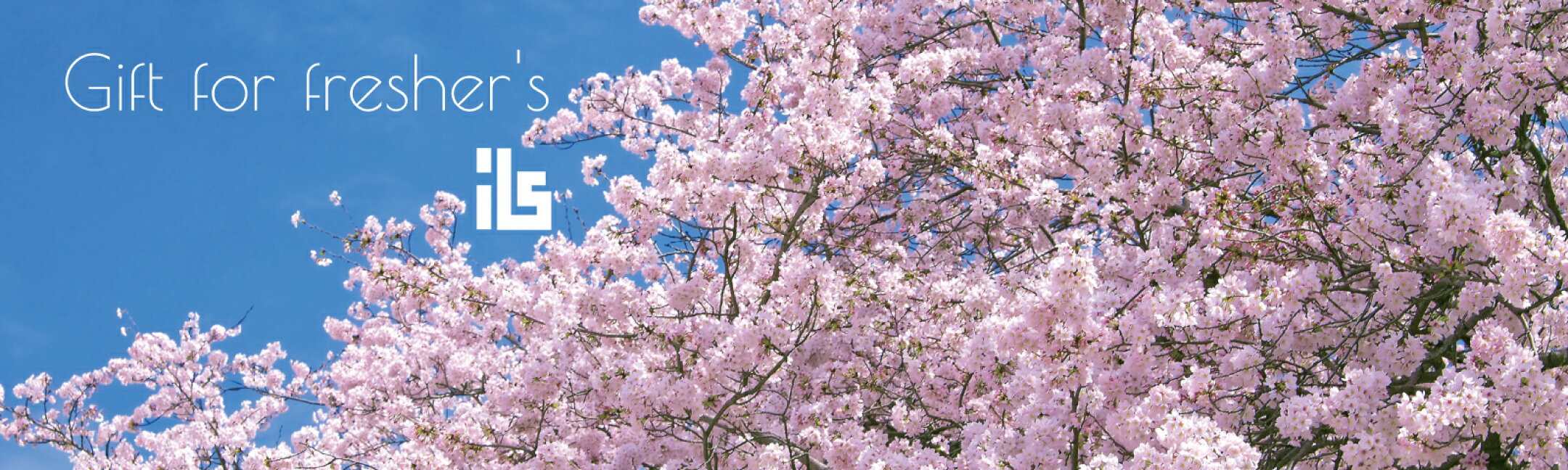 フレッシャーズ【fresher's】