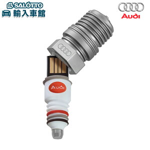 y AUDI  zUSB [XeBbN 8GB weCW [L[  AEfB IWi ANZT[