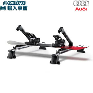 y AUDI  zXL[ Xm[{[h z_[ vAEg z_[XCh ύڎɎOփXCh AEfB IWi ANZT[