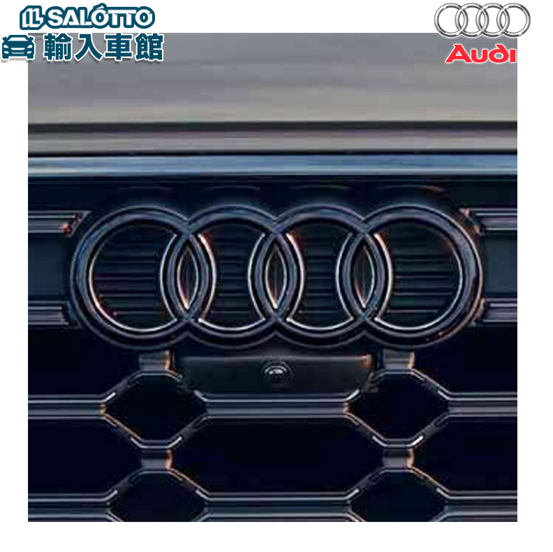 お買い上げ Audi アウディ Q5 (8R) RSQ5 ブラック フレーム ブラック