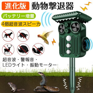 L悯 g \[[  ފ ފ 悯  g L悯ObY L lR悯 ˂悯 L悯 ZT[  ˂݋쏜 Qb \[[[d usb[d 5[h L