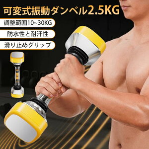 �_SD20�{�^�_���x�� �ώ� �؃g�� �����\ �U���_���x�� 10~30kg �_���x�� �R���p�N�g�l�ԍH�w ���@�\ ����ɂ��� ����g�� �g���[�j���O �؃g���O�b�Y �A�W���X�^�u�� �z�[���W�� �S�g�ؓ�