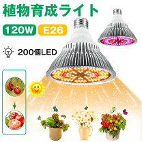 楽天市場】植物育成ライト led 120w e26口金の通販 