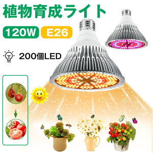 A琬Cg LED 200 E26  d cCg ϗtA A  120W ԐF&gF tXyNg vgCg A琬pv k͔|Cg pCg ȃGl 