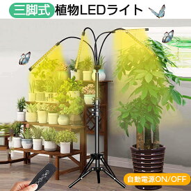 【P10倍★500円クーポン配布】植物育成ライト LED スタンド4灯 タイマー 三脚 植物育成LED usb 観葉植物育成ライト 植物ライト 多肉植物育成 トフルスペクトル 10階段調光 80LEDランプ 太陽光 4ヘッド付き 室内栽培ライト 水耕栽培ランプ 光補足 日照不足解消