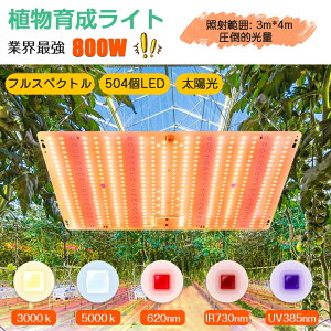 yԌsalezy504LEDzA琬Cg LED pl  A  Cg Px tXyNg gF LEDA琬Cg k͔|Cg 2iK A琬pledpl ϗtA c