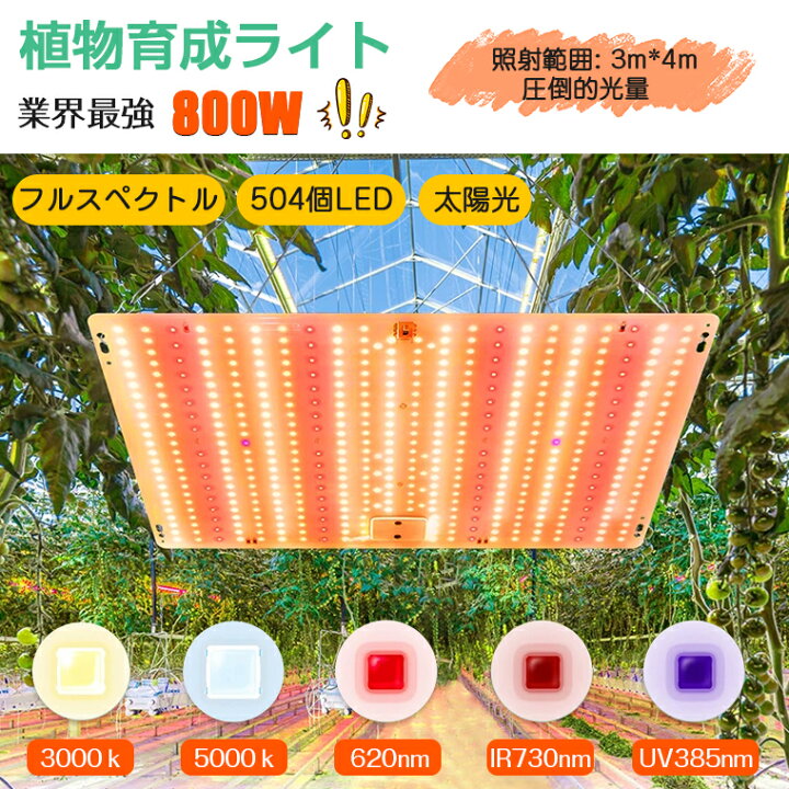 楽天市場】【P10倍☆504個LED】植物育成ライト LED パネル 室内 植物 