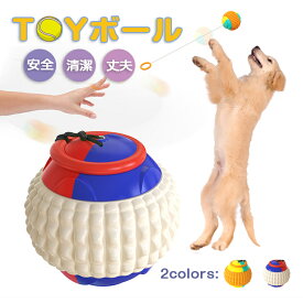 楽天市場 犬 ボール投げの通販