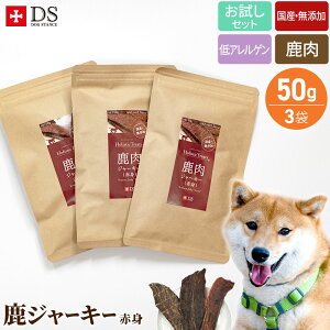  W[L[ Y  hbOX^X  ȃW[L[Zbg iԐgj50gx3 Y p Ic  AQ g[c HAM[ 畆 VjA 