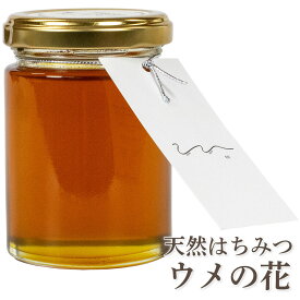 UU ニホンミツバチ 蜂蜜 梅の花の 濃厚 天然はちみつ 国産 非加熱 希少な日本蜜蜂の 純粋ハチミツ 日本製 ユーユー ギフト