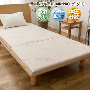 o_̕~zc B-AIR PRO Z~_u ǎ ō̃tbV ̈U Ȃ V[Ő􂦂{