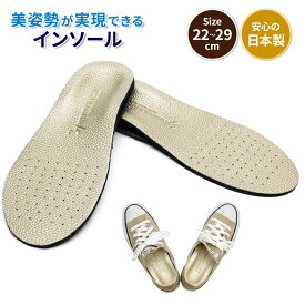 プライマリーウォーキング(R) インソール 姿勢矯正 立ち方 矯正 整体師が開発