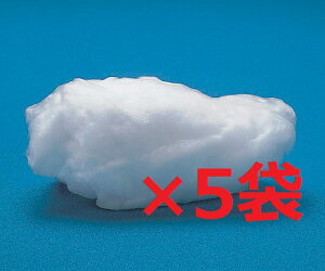 yx@ΉpE[(5)zt@C(O[hAj 10g×5܁i2`6mj@ΉpKX@ہ@\[@쏊