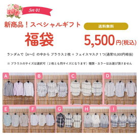 【送料無料】スペシャルギフト セット お得 夏 選べる 福袋 ブラウス2枚 フェイスマスク セット ハッピーボックス 冷房対策 UVカット 日焼け対策 レディース ミセス シニア 30代40代50代60代70代80代 ギフト プレゼント 贈り物 誕生日 ベーシック ブラウス シャツ 2025 SS