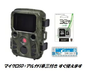 【送料無料】SIGHTRON JAPAN サイトロンジャパン STR-MiNi300 迷彩 赤外線無人撮影カメラ【楽ギフ_包装】