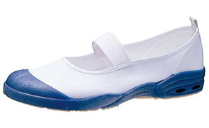 yzASAHIEATqV[Y ATqhCXN[ 007EC S̓{ wZ ct ۈ牀  HȂǂ RۖhL ADS 007EC TCY22.0cm NV lCr[