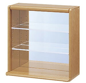 yziJoV CCM-N001S RNVP[X ~j uE gݗĎ fBXvCI AN