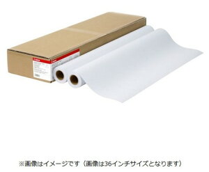 yz Canon Lm LFM-PPS2/24/64 X^_[hʎ2 Lmi