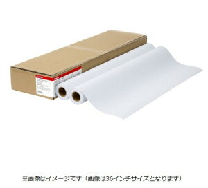 yz Canon Lm LFM-PPS2/A0/64 X^_[hʎ2 Lmi