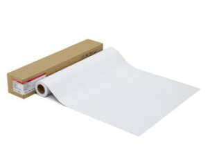 yz Canon Lm LFM-GPPT/24/300 ʐ^pE v[v`iO[h] Lmi