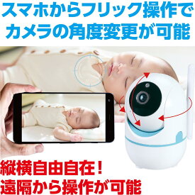 【ゆうパケットで送料無料】アーテック 008657 防犯見守りカメラ