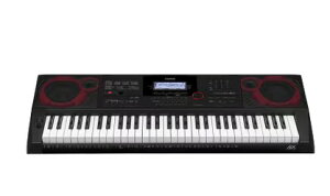 yzCASIOEJVI CT-X3000 L[{[h dqy