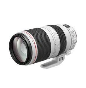 yzCanon Lm EF100-400mm F4.5-5.6L IS II USM EFY ]Y[Yy]szyunable to transferz