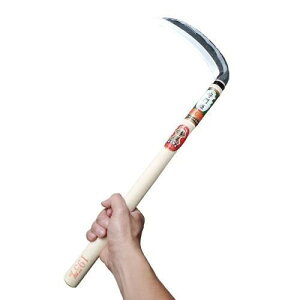 I  劙 195mm×420mm  ؕ