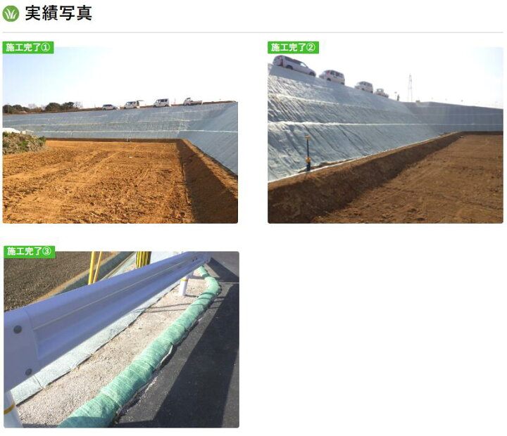 楽天市場】ロンタイ まくらグリーンバッグ 200枚 22cm×60cm 浸食防止 