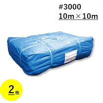 楽天市場】ブルーシート #3000 10m×10mの通販