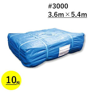 u[V[g 3.6m×5.4m #3000  10 2×3 2K×3K ngt J {V[g ƃV[g h H Cxg { W[V[g C 䕗