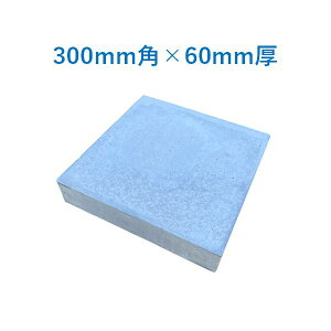 RN[g 300p 300×300×60mm 