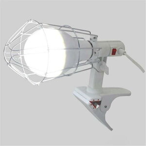 LED Nbvv LEDdt 3500lm 30W ARZgt V CLL-30 NbvCg