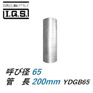 �ɓ��S�H YDGB GP�� �{�E�Y�� �Ă�65 ���ߊǒ�200 IGS
