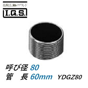 �ɓ��S�H YDGZ GP �ǑS�˂� ���ߊ� �Ă�80 ���ߊǒ�60 IGS